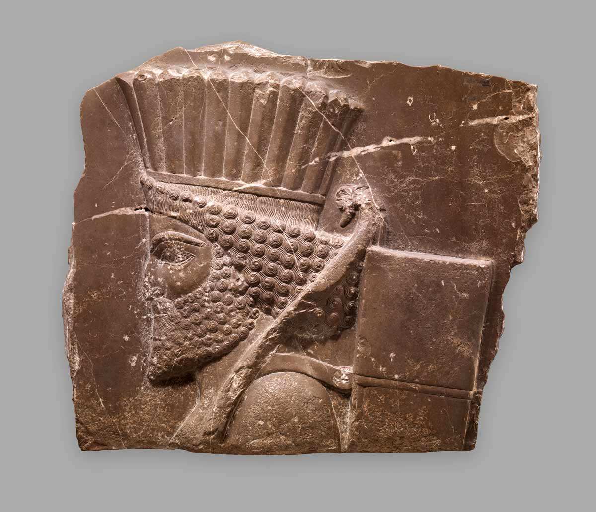 achaemenid persian guard head