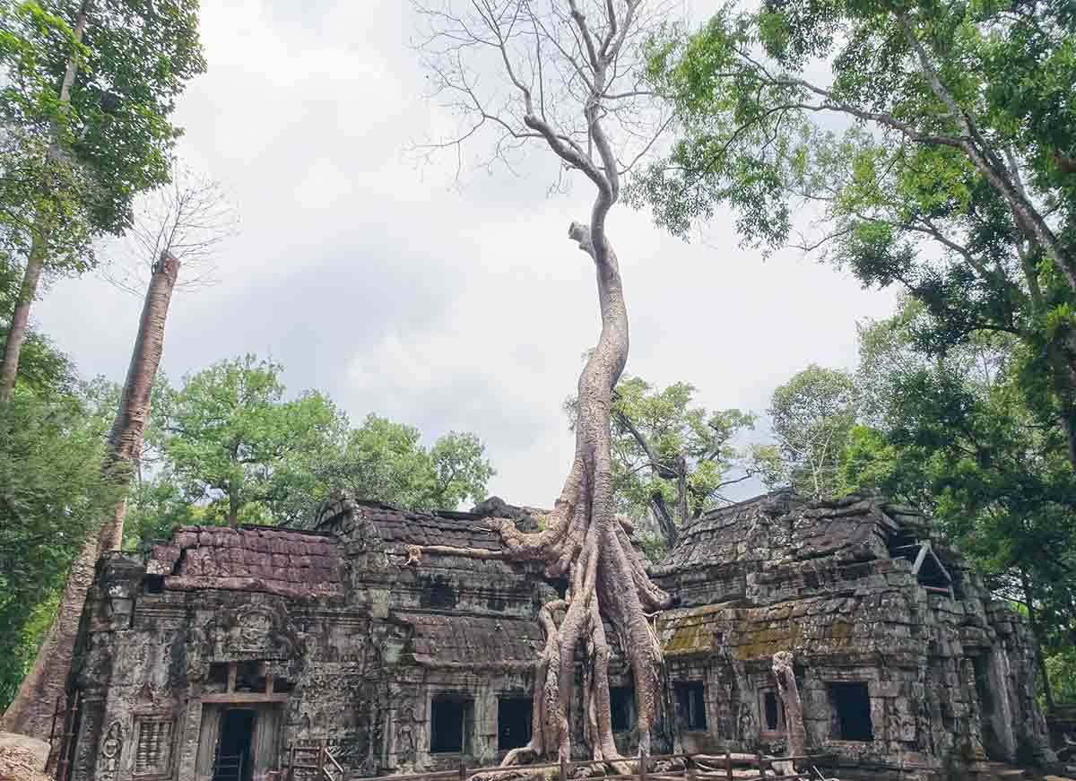 angkorian temple cambodia