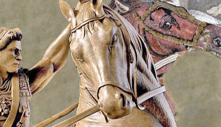 Bucephalus horse alexander the great