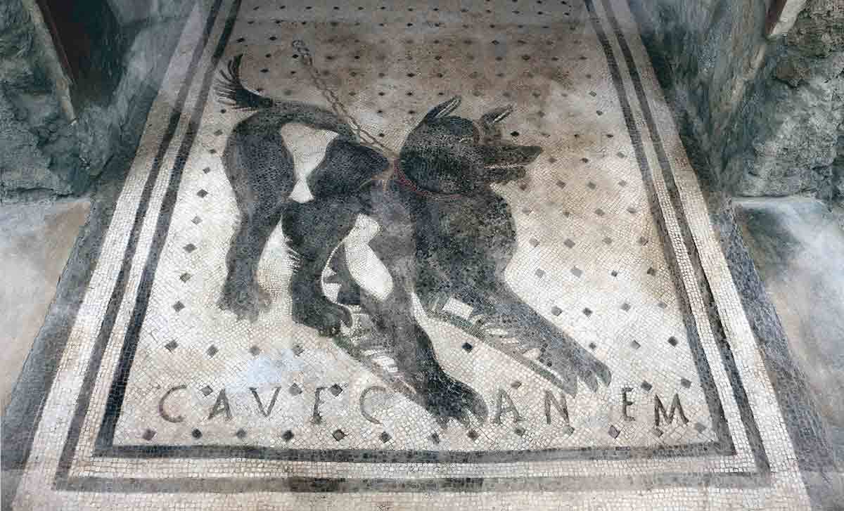 Cave canem