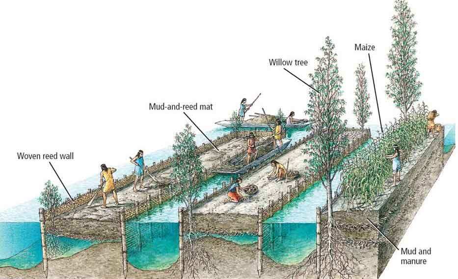 drawing aztec floating gardens