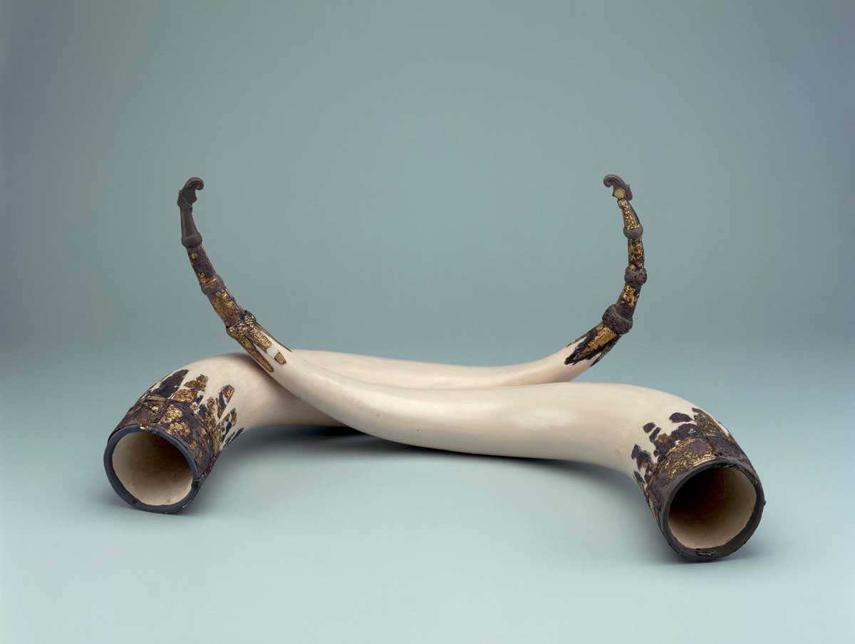 drinking horns