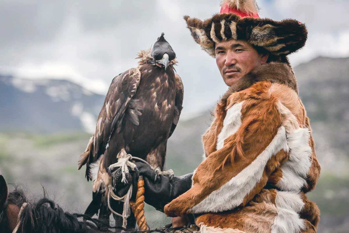 eagle hunter horse