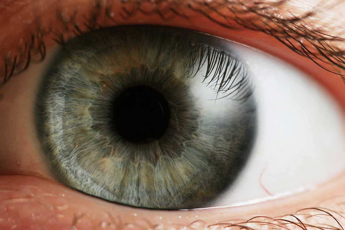 eye iris