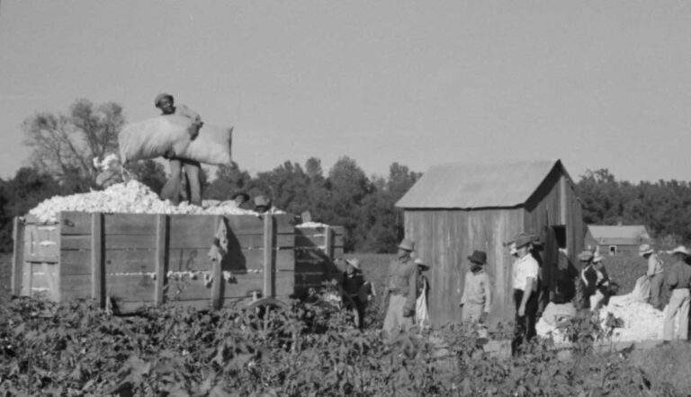 Day laborers carrying sacks of cotton, Mississippi