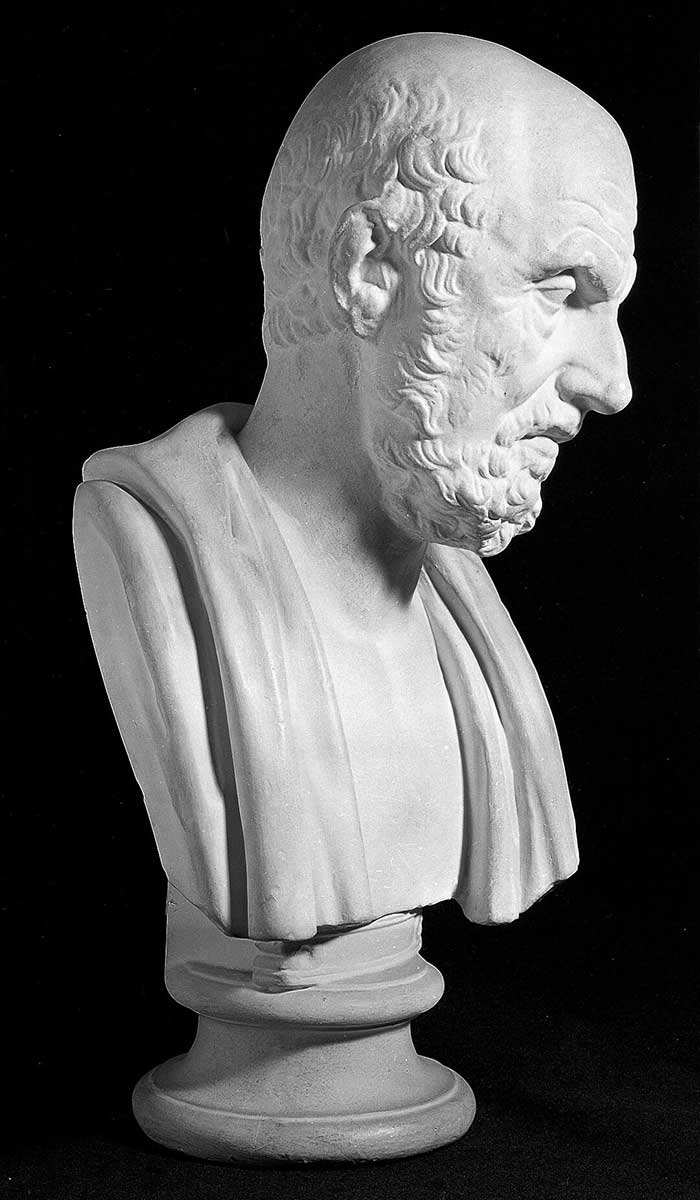 hippocrates bust