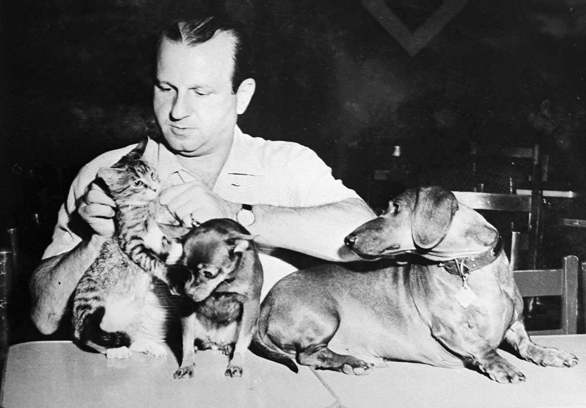 jack ruby dogs