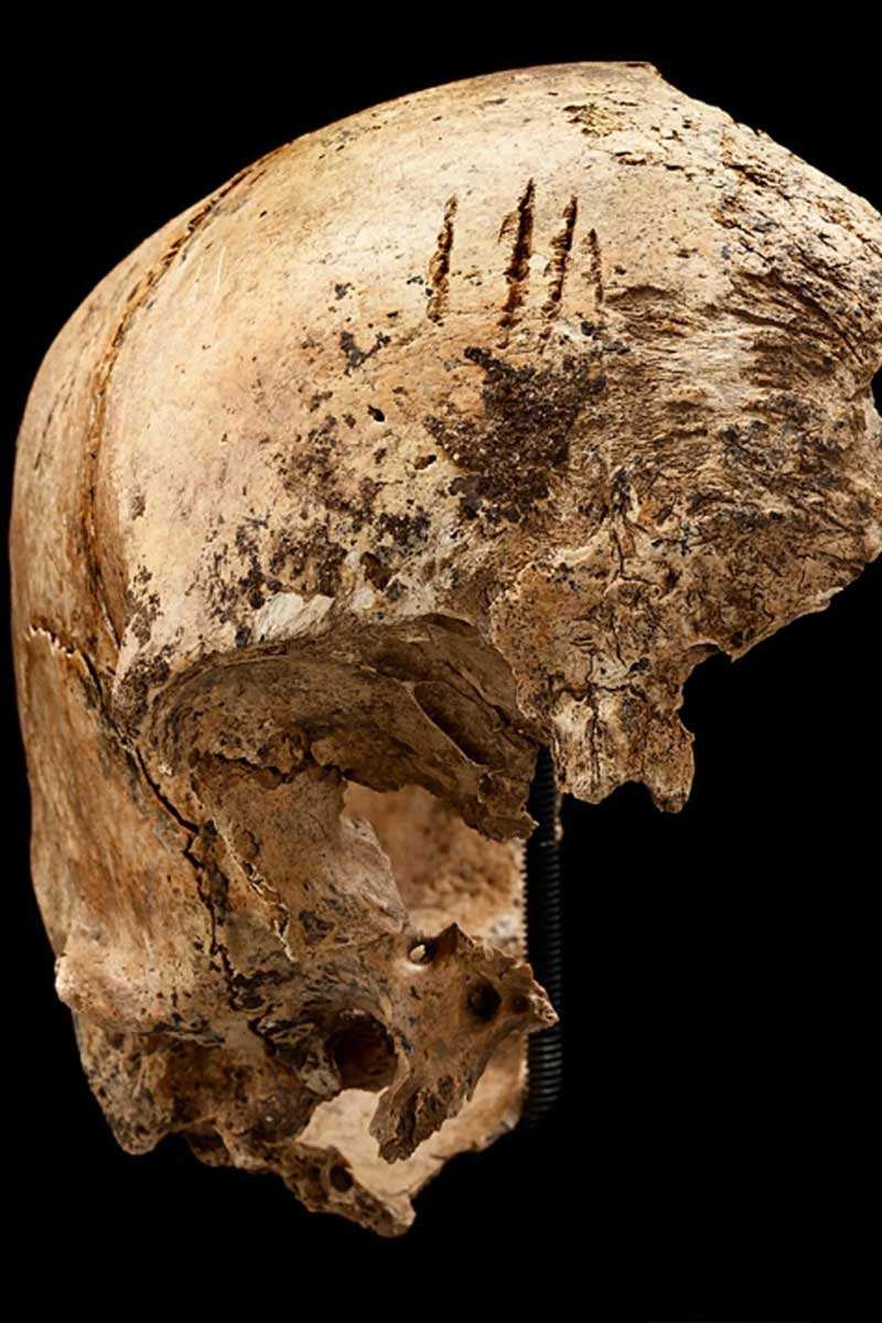 jamestown settlement skull