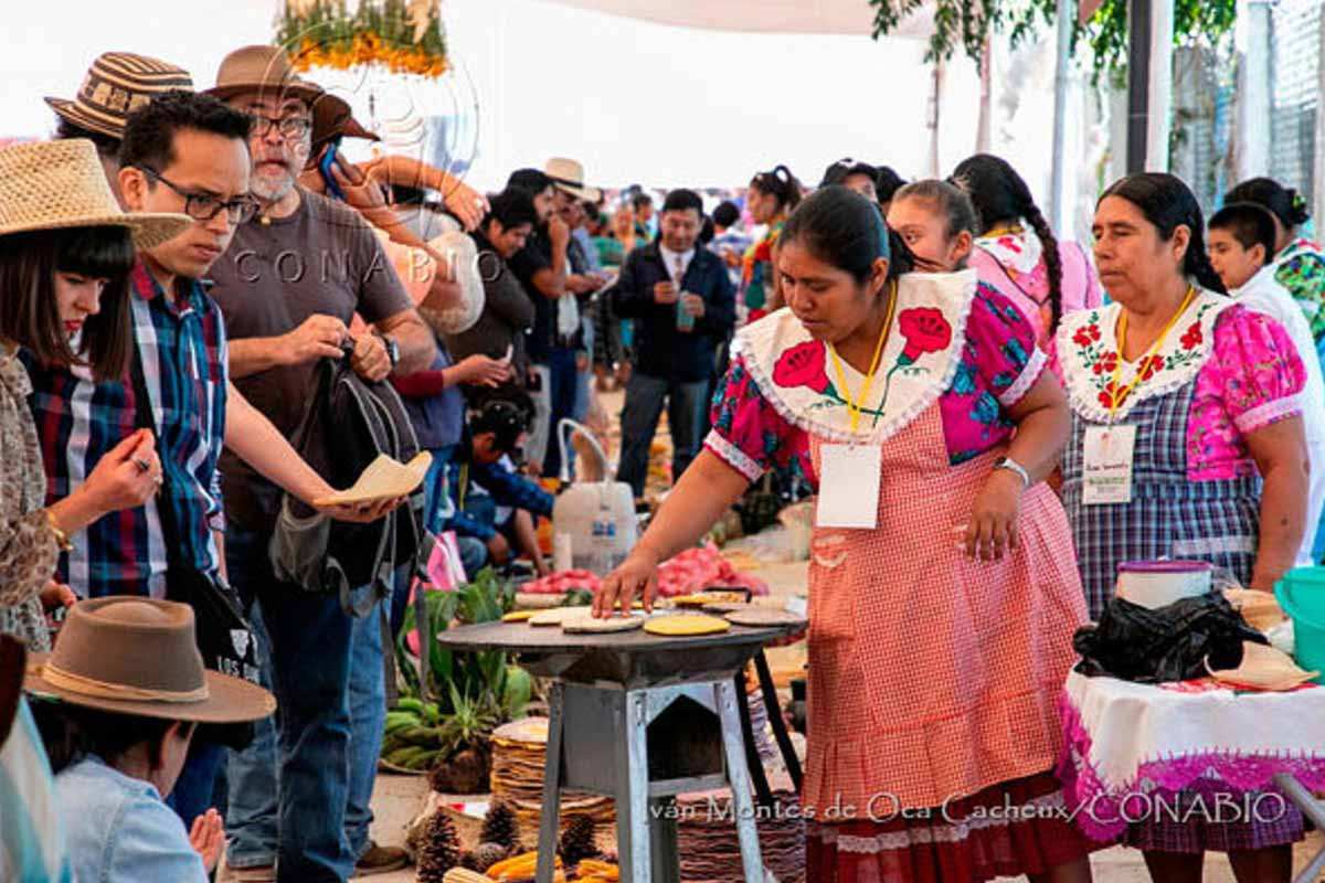 market tortillas mitla oaxaca mexico