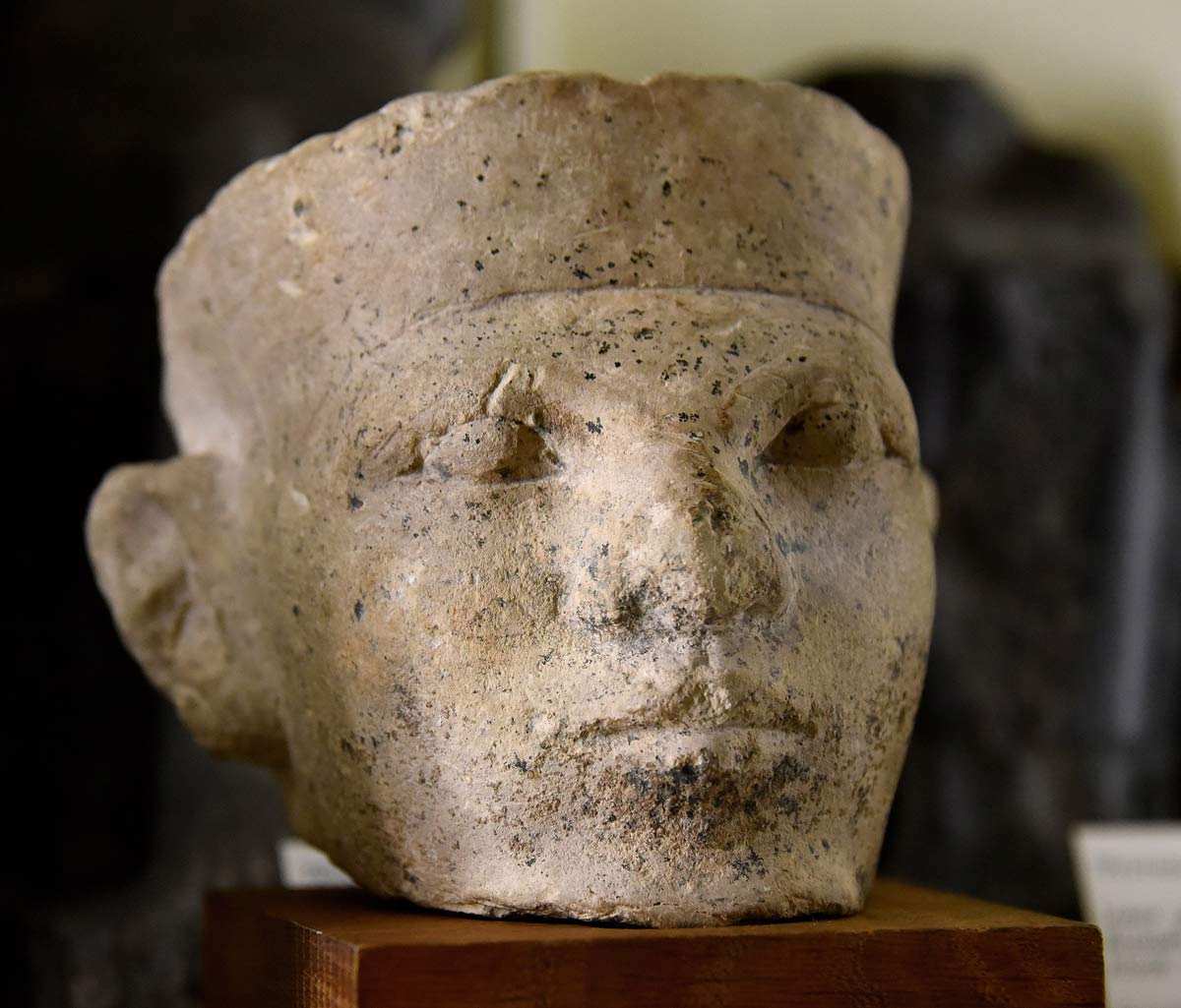 narmer limestone head