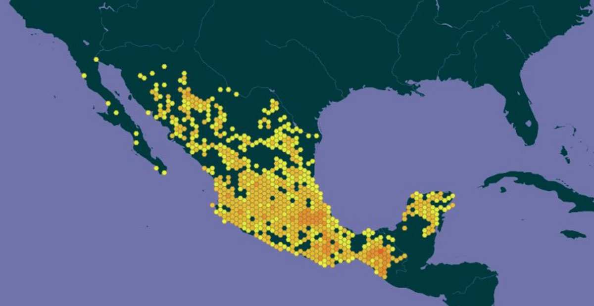 native maize varieties mexico map