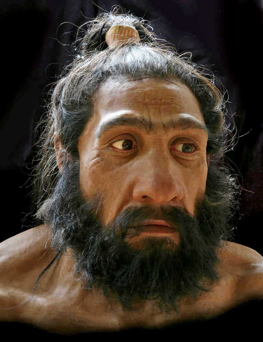 neanderthal face