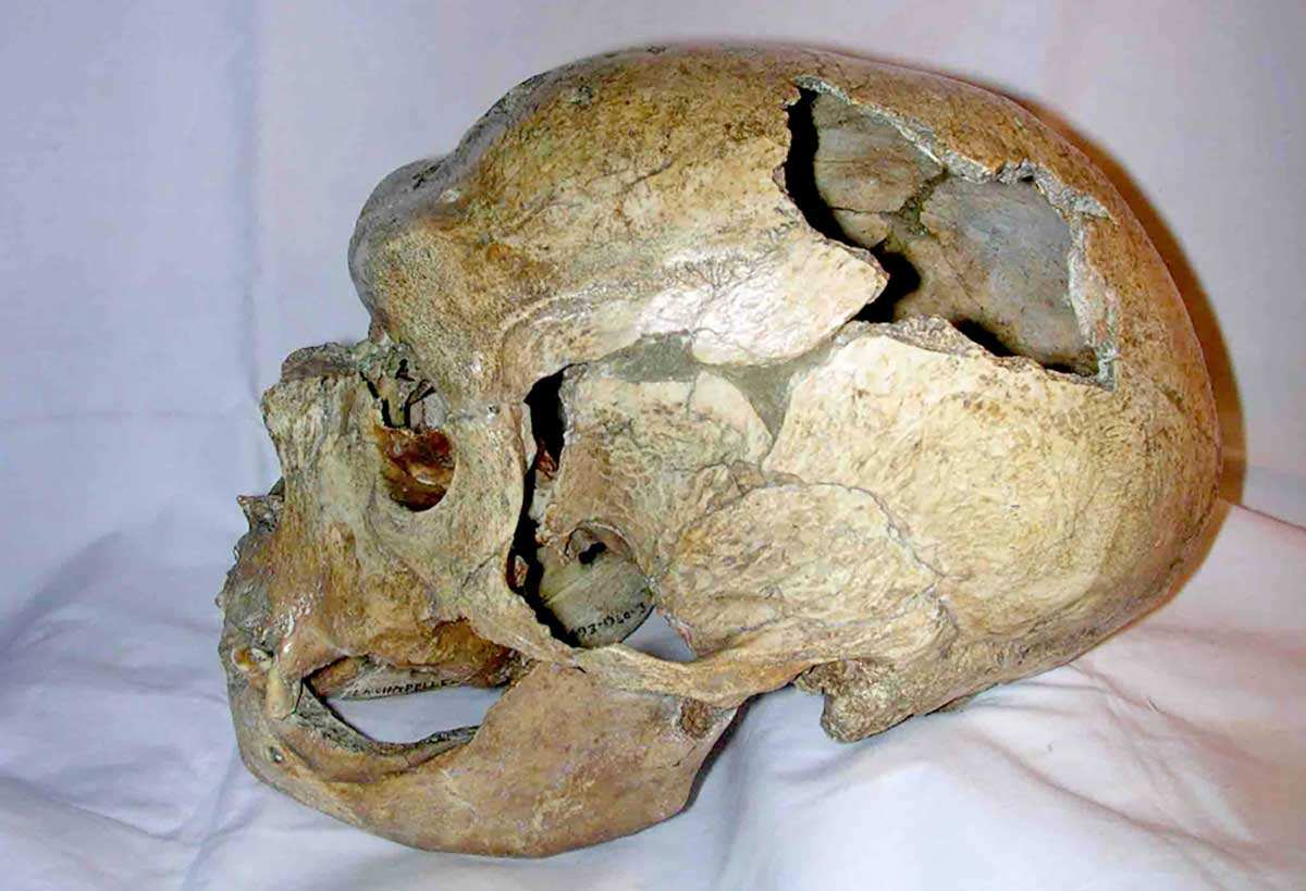 neanderthal-skull-saint-chapelle