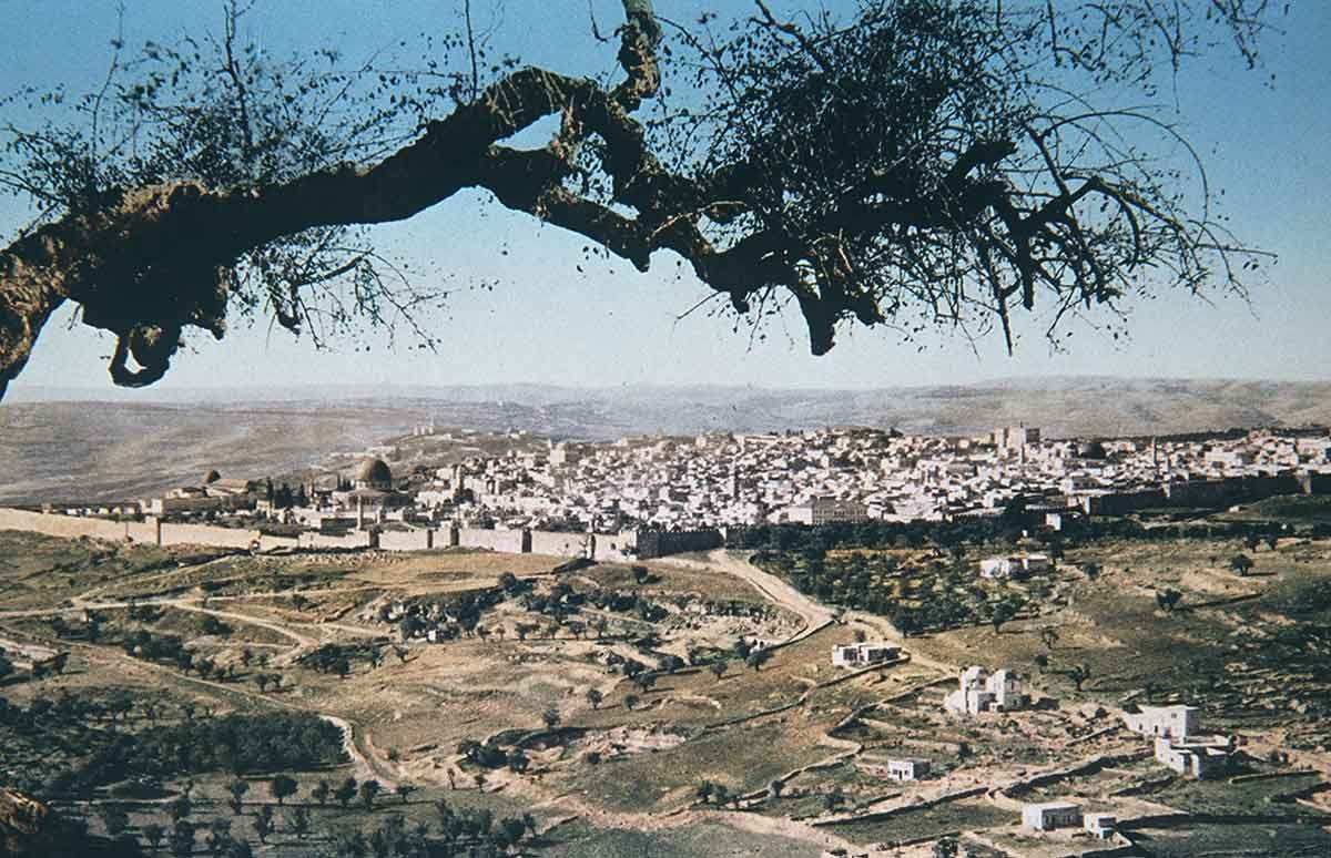 ottoman palestine provinces photo