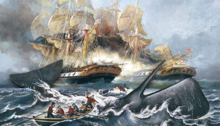 outrageous whaling stories