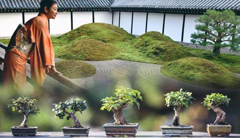 philosophy behind zen gardens