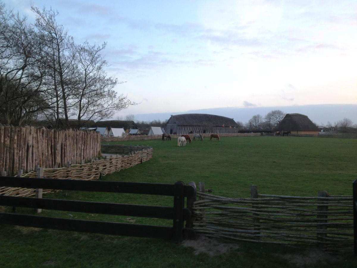 replica viking farm