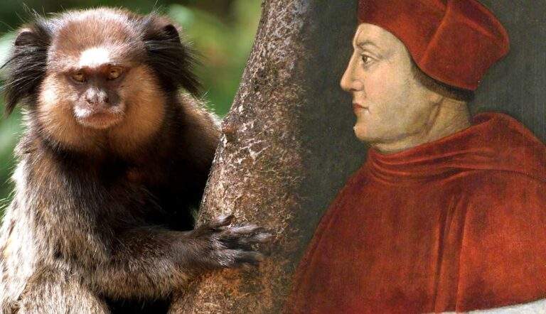 was cardinal wolsey animal lover